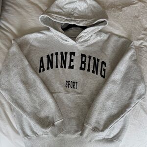 Anine Bing Light Gray Sport Hoodie
